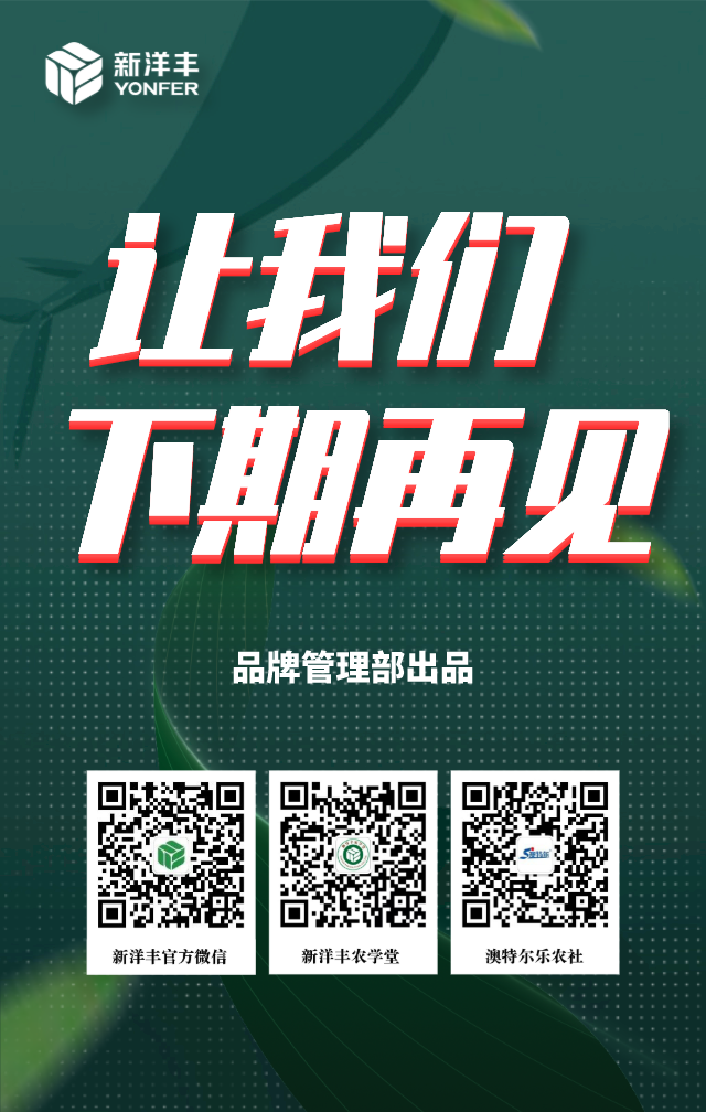 第2页.png