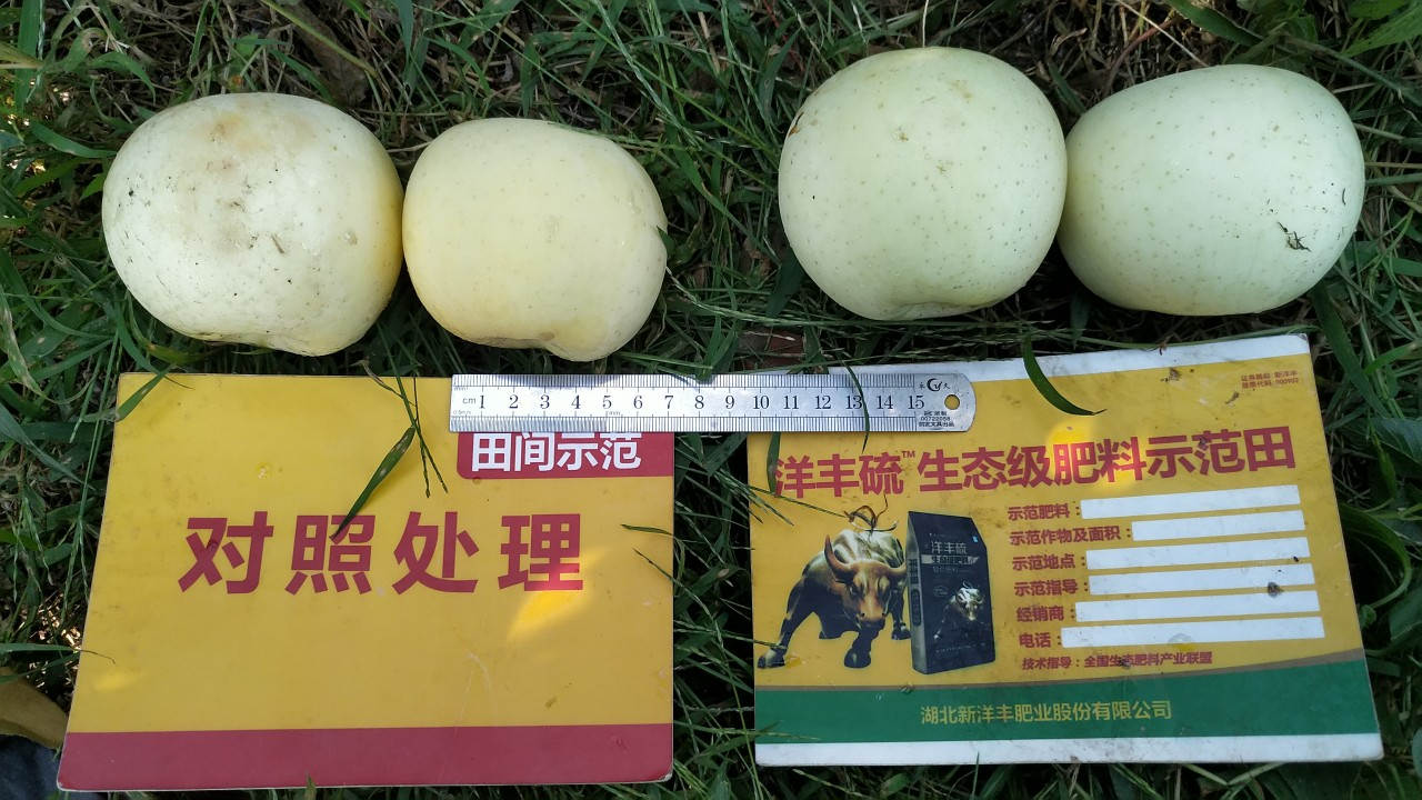 对比.jpg