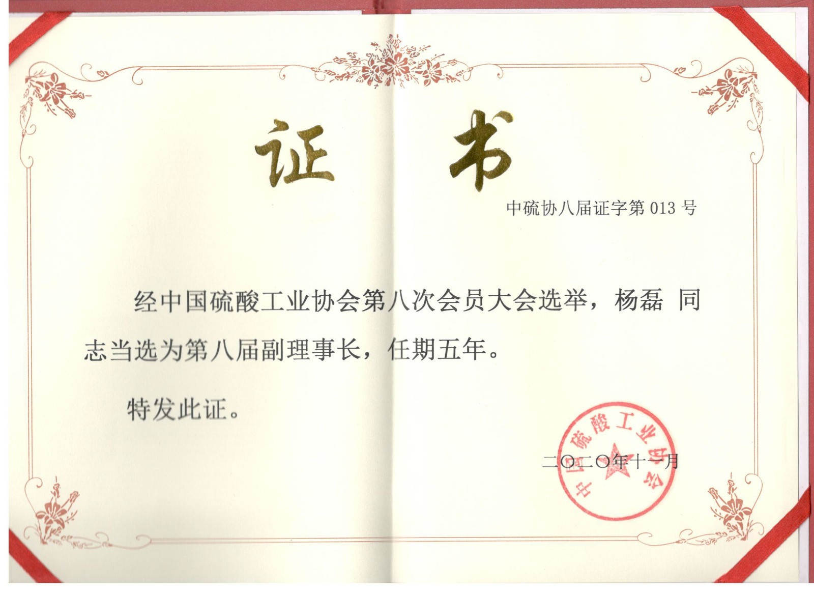 杨磊-硫酸协会副理事长.jpg