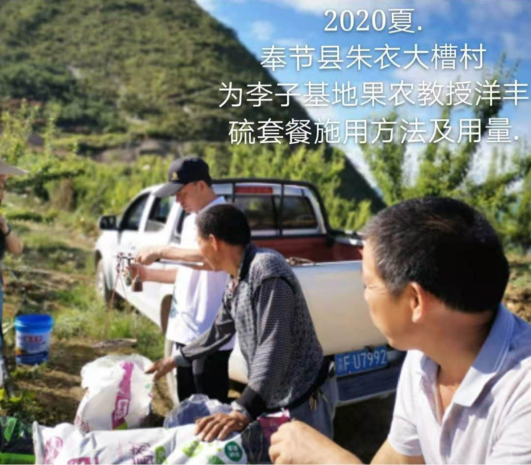 图片5.png