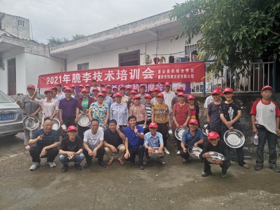 图片5两场种植技术培训观摩会现场.jpg