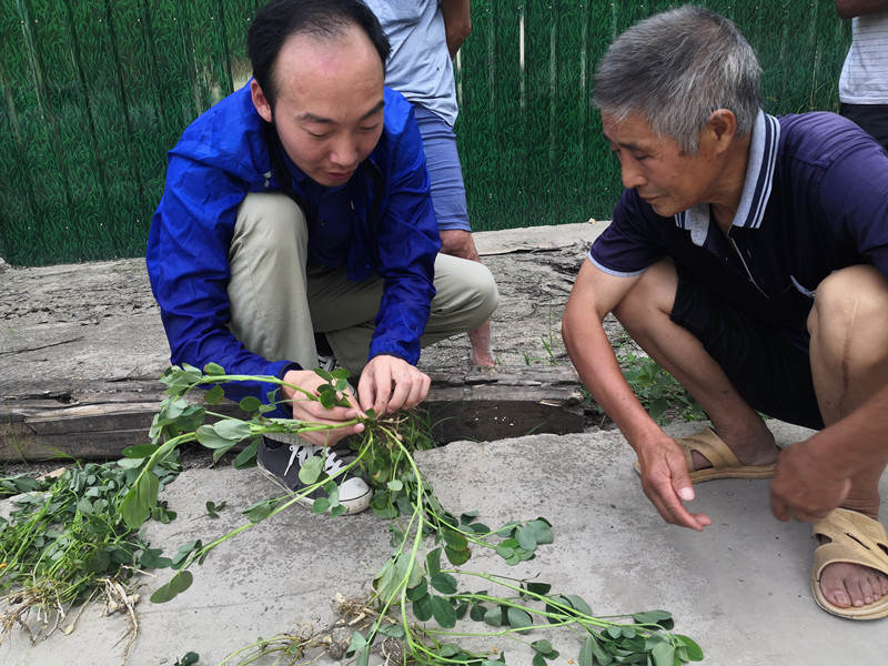 杨弘在给花生种植户讲解灾后复产技术2_副本.jpg 杨弘在给花生种植户讲解灾后复产技术2_副本.jpg