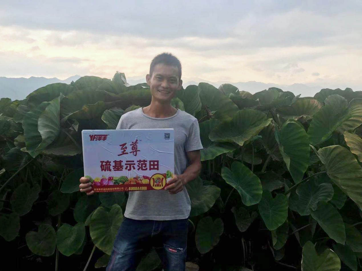 种植户在田间1_副本.jpg 种植户在田间1_副本.jpg