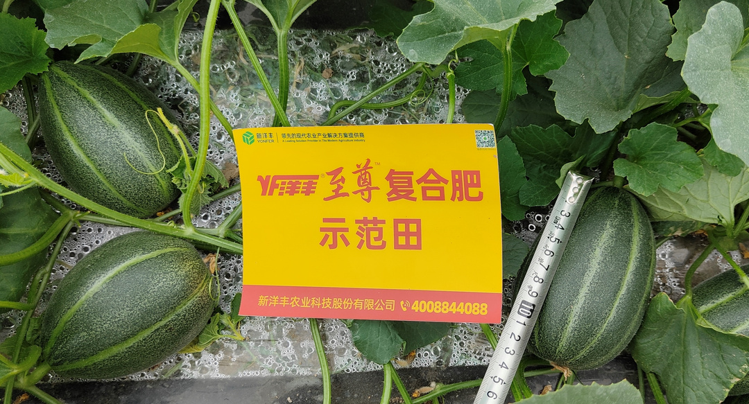 微信图片_20220502091009.jpg