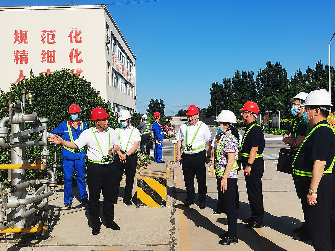 5月26日，国务院安委会综合检查组魏丽萍（右四）一行，在河北省、保定市、徐水区有关领导陪同下，前往河北6686在线登录官网入口督导检查安全生产相关工作，该公司总经理周文乾（左二）热情接待。.jpg