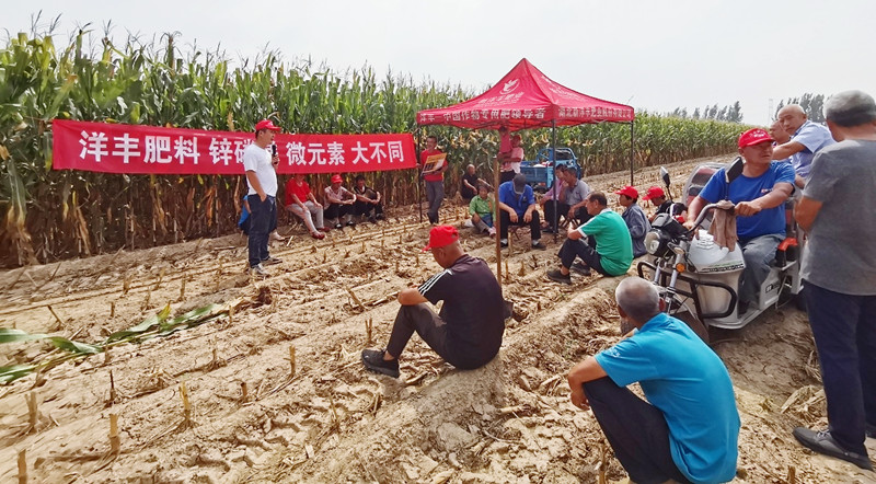孙华伟叙述自己经销洋丰肥料的体会_副本.jpg