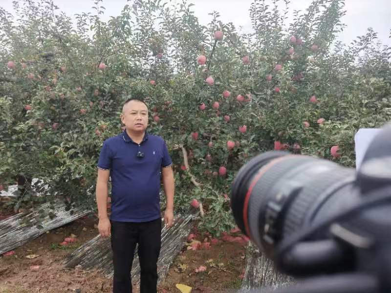 丁青青接受采访2.jpg